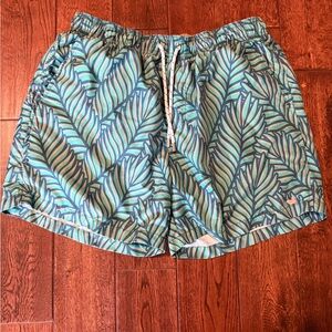 Southern Marsh Leaf Pattern Men's Shorts - Green and Blue